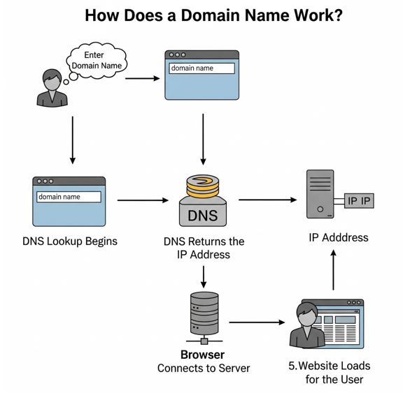 Process for Domain Name Search